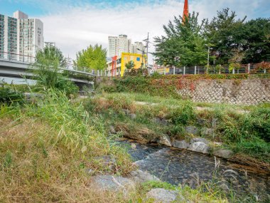 Nehir, dere Sanggye-dong o dairelerde arkasında görünümünü