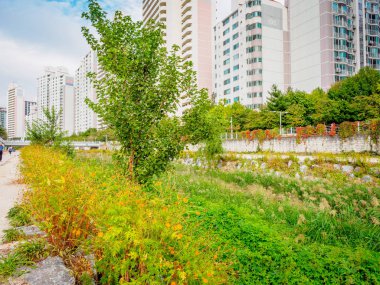 Nehir, dere Sanggye-dong o dairelerde arkasında görünümünü