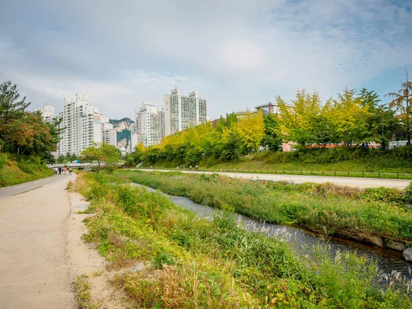 Vista del río, arroyo detrás de apartamentos en Sanggye-dong en O — Foto de Stock