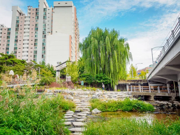 Nehir, dere Sanggye-dong o dairelerde arkasında görünümünü