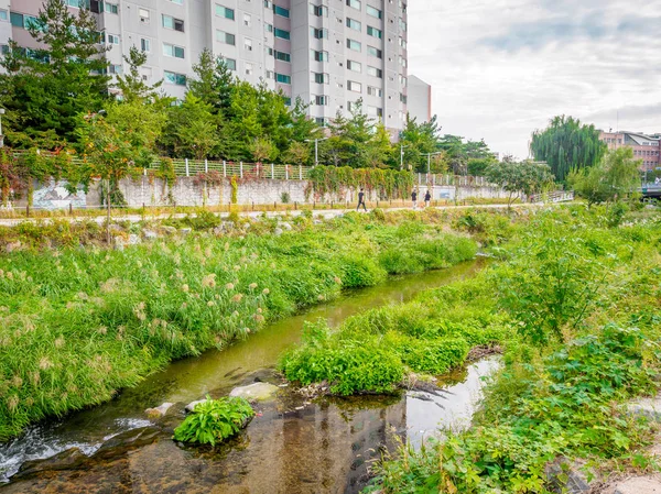 Vista del río, arroyo detrás de apartamentos en Sanggye-dong en O — Foto de Stock