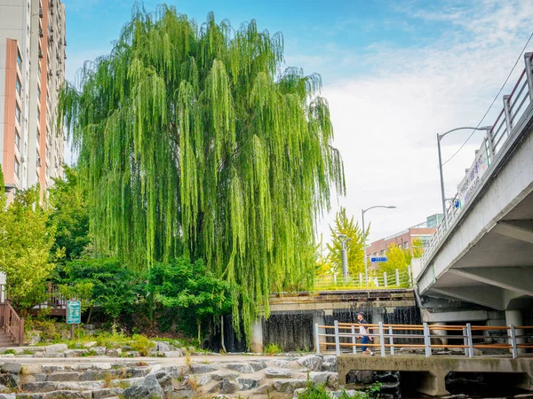 Blick auf den Fluss, Bach hinter Wohnungen in sanggye-dong auf o — Stockfoto