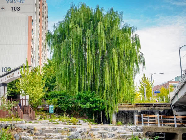 Blick auf den Fluss, Bach hinter Wohnungen in sanggye-dong auf o — Stockfoto