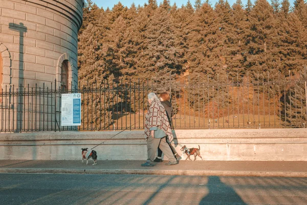 Oude vrouw loopt met honden op Mt. Waterreservoirs van Tabor park — Stockfoto