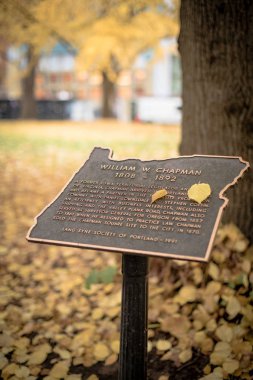 Portland 'da sarı sonbahar parkı manzarası