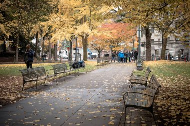 Portland 'da sarı sonbahar parkı manzarası