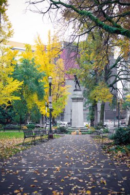 Portland 'da sarı sonbahar parkı manzarası