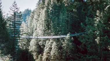 Kuzey Vancouver 'daki Capilano Köprü Parkı' nın kış mevsiminde görüntüsü