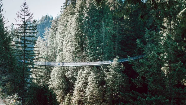 Άποψη του Capilano Αναστολή Bridge πάρκο στο βόρειο Βανκούβερ κατά τη χειμερινή περίοδο — Φωτογραφία Αρχείου