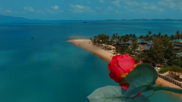 Fliegende Blume. am Strand. samui. Thailand. — Stockvideo