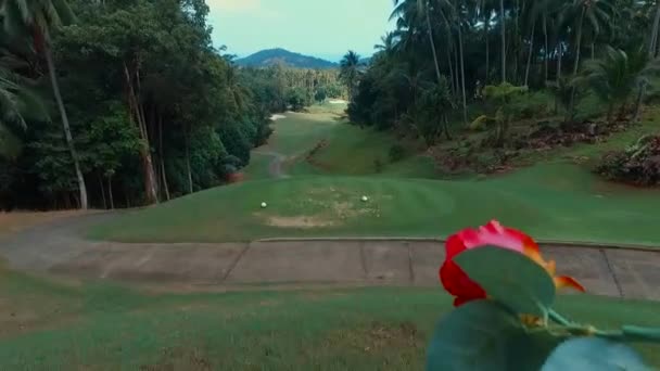 Flor voladora. Camino de golf. Samui. Tailandia . — Vídeos de Stock