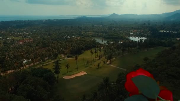 Létající květina. Golfové hřiště. Samui. Thajsko. — Stock video