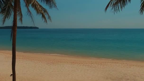 Vuelo entre palmeras en la playa de Bang Tao. Phuket. Tailandia — Vídeos de Stock