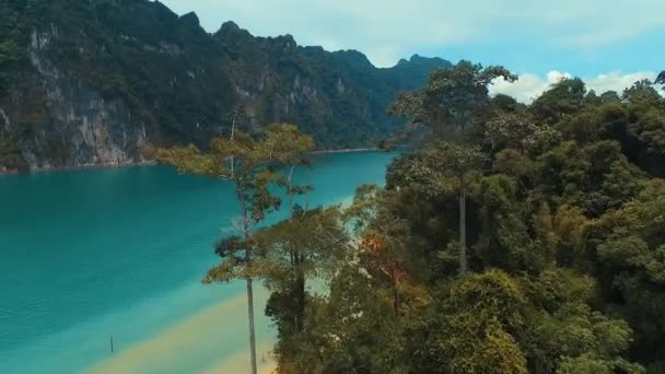 공중: 플 라 잉 나무 가까이 호수. — 비디오
