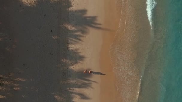 ビーチの上を歩く空中: カップル. — ストック動画