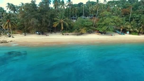 야생 해변에서 비행 하는 항공:. — 비디오