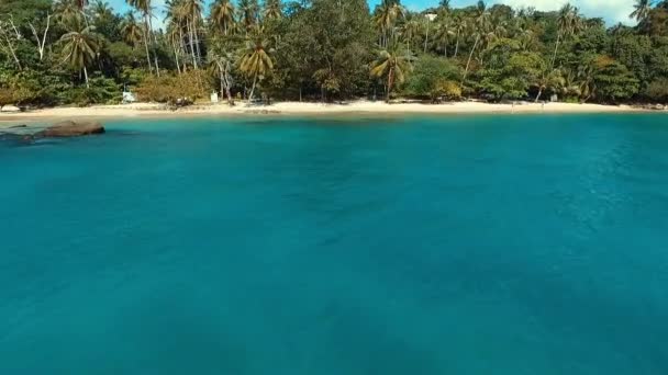 Κεραία: Πέταξε να palm beach. — Αρχείο Βίντεο