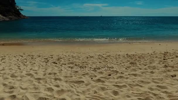 Aérien : Vue sur la mer depuis la plage . — Video