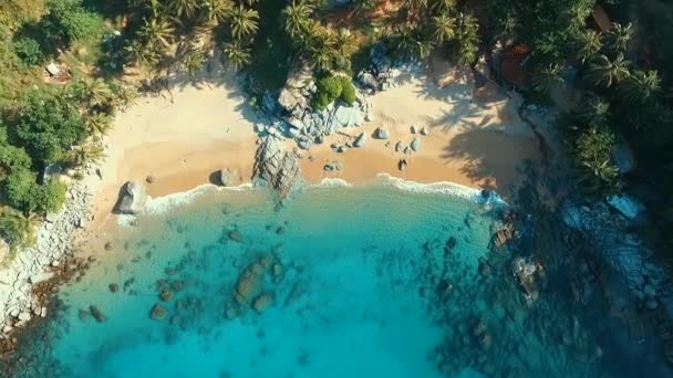 Anténa: Přistání na divoké pláži krásné vodou. — Stock video
