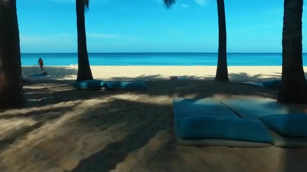 Aérea: Vuelo a través de las palmeras a la playa . — Vídeos de Stock