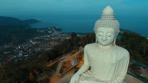 Anteni: Kuş-göz görüş-Big Buddha. — Stok video