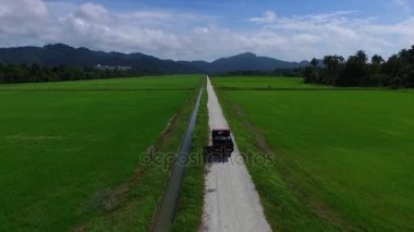 Anteni: Pirinç tarlaları arasında bir kamyonla yol.