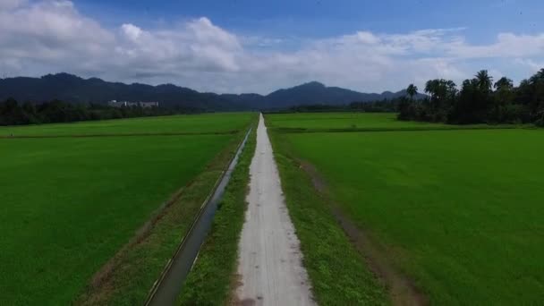 航空︰ 从起飞稻田. — 图库视频影像