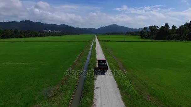 Aéreo: A estrada com um caminhão entre campos de arroz . — Vídeo de Stock