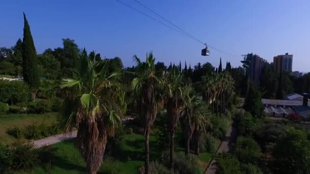 Antenne: Kabelbaan in Sotsji arboretum. Uitzicht op zee. — Stockvideo