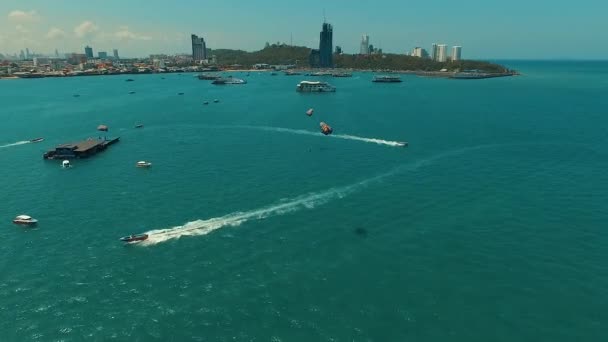 Aéreo: Skydivers voando sobre o mar na baía de Pattaya . — Vídeo de Stock