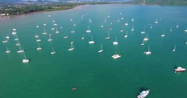 Aérea: Volando sobre muchos barcos y barcos en el puerto . — Vídeo de stock