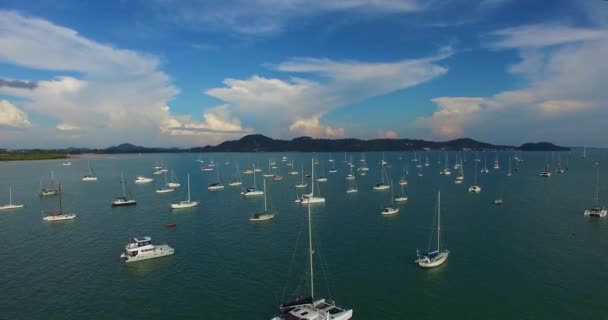 Aérea: Despegue en puerto con muchos barcos, barcos y catamaranes . — Vídeo de stock