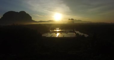 Anteni: Güzel gündoğumu sisli ormanda.