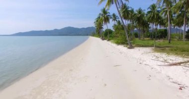 Anteni: Güzel ıssız kumsal palmiye ağaçları ve dağ manzaralı.