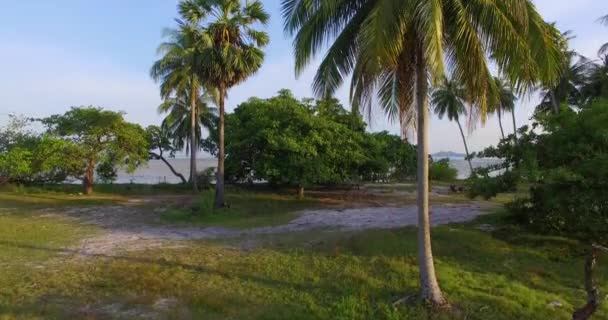 Aérien : Décollage près du taureau et des palmiers surplombant les îles .