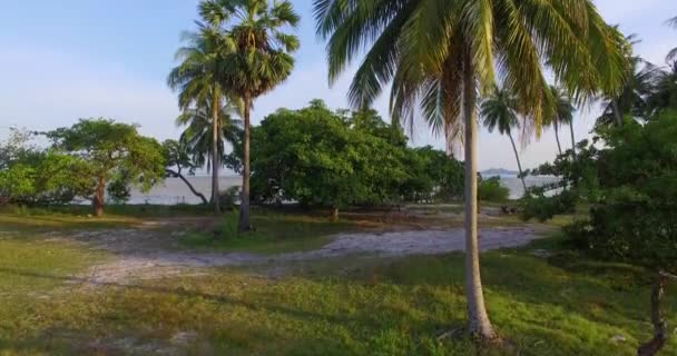 Aerial: Takeoff near the bull and palm trees overlooking the islands. — Stock Video