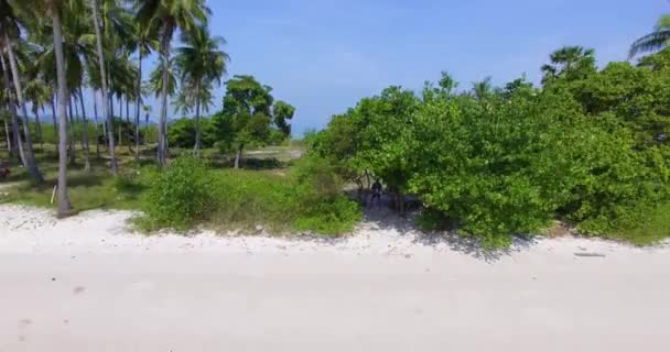 Antenne: Start der Drohne auf der Inselspitze mit weißem Sand und Palmen. — Stockvideo