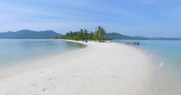 Aérienne : Belle plage de sable blanc avec palmeraie . — Video