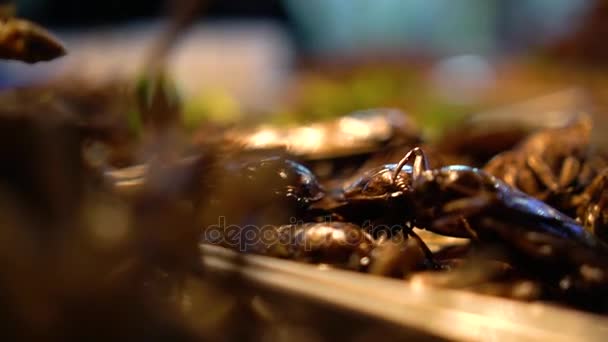 Fried cockroaches. Thai street food. — Stock Video