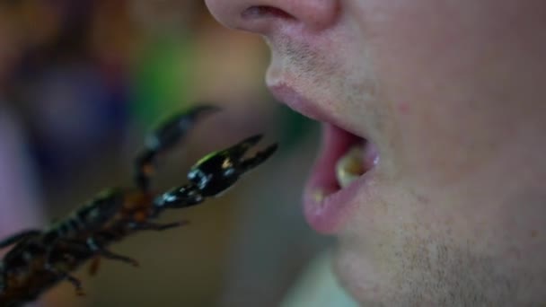 Крупним планом чоловік їсть смажений скорпіон . — стокове відео