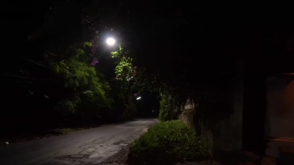 Uma porta iluminada em estilo vintage ao lado da estrada em uma noite tranquila. Panorama noturno — Vídeo de Stock