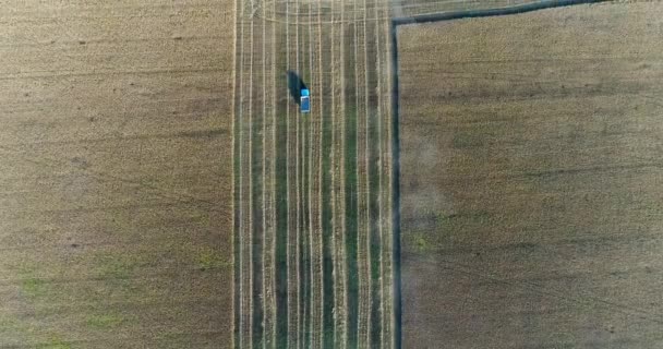 Antenn: Kombinera och lastbil arbetar på fältet, skörd. Visa från ovan. — Stockvideo