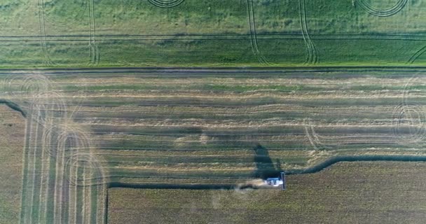 Aerial: Colheitadeira colhe a colheita. Vista de cima. Padrões no campo . — Vídeo de Stock