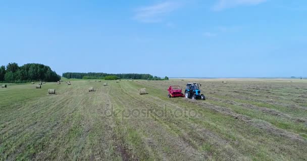 Aérea: El tractor recoge el heno y hace de él pilas en el campo . — Vídeos de Stock