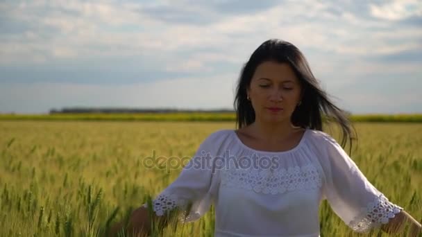 Bir buğday alanında yürüyen bir kadın Close-Up. — Stok video