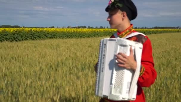 Omsk, Rusko 16 srpna 2017: Mladý muž hraje na akordeon v pšeničné pole. — Stock video