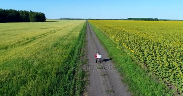 Aerial: Accordionist plays the accordion. Sitting on a chair on a country road. — Stock Video