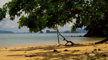 Güzel bir plaj Phang Nga ilinde bir dağ manzaralı.