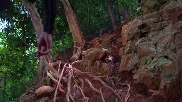 Muž leze na horu podél skal a kořeny stromů. — Stock video