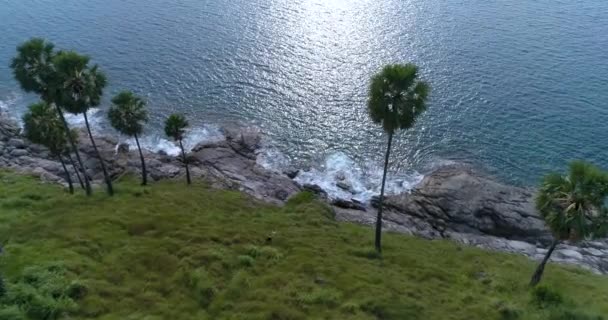 Aérea: Hermosa costa de palmeras con una pareja está practicando Acro Yoga cerca del mar . — Vídeos de Stock